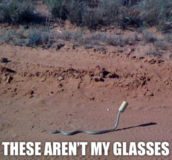 [Image 159013] these arent my glasses Know Your Meme