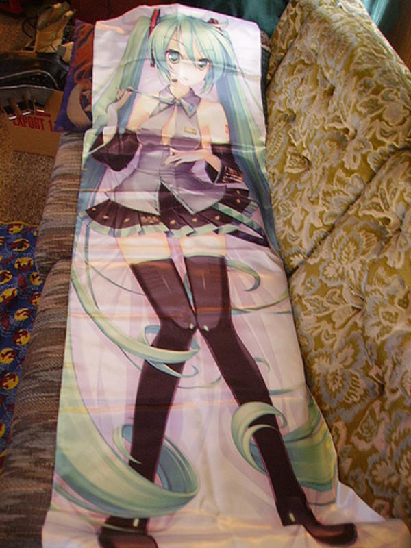 [Image 195069] Dakimakura / Waifu Body Pillow Know Your Meme