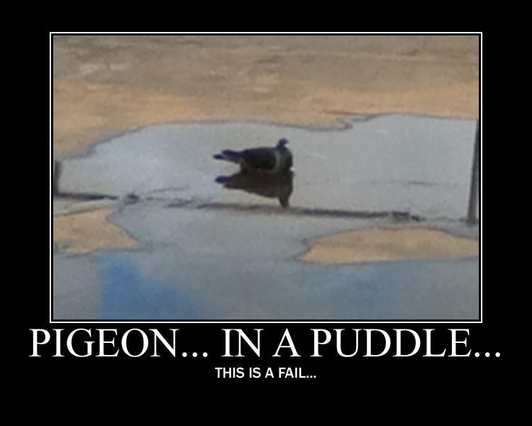 [Image - 203493] | Demotivational Posters | Know Your Meme