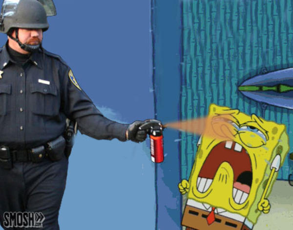 [Image - 204114] | Casually Pepper Spray Everything Cop | Know Your Meme
