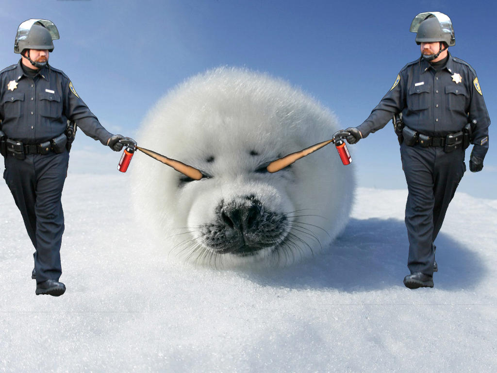 [Image 204528] Casually Pepper Spray Everything Cop Know Your Meme