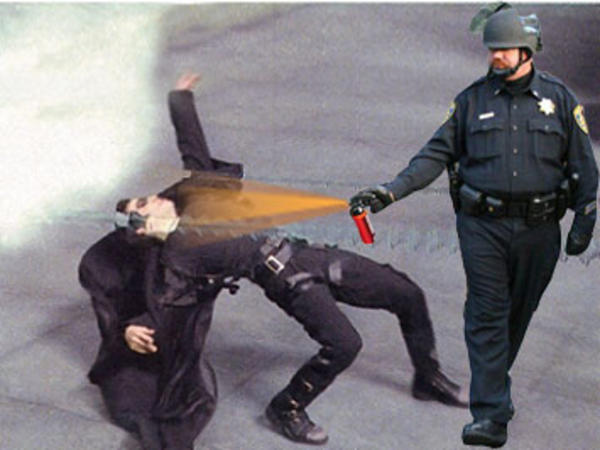 [Image - 204723] | Casually Pepper Spray Everything Cop | Know Your Meme