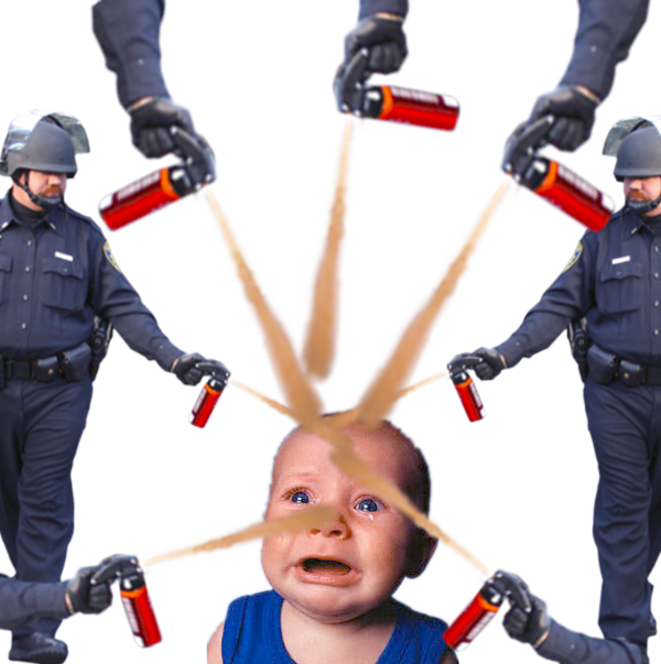 [Image 204905] Casually Pepper Spray Everything Cop Know Your Meme