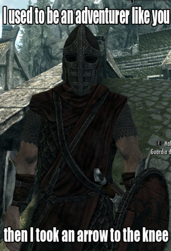 [Image 209625] I Took an Arrow in the Knee Know Your Meme