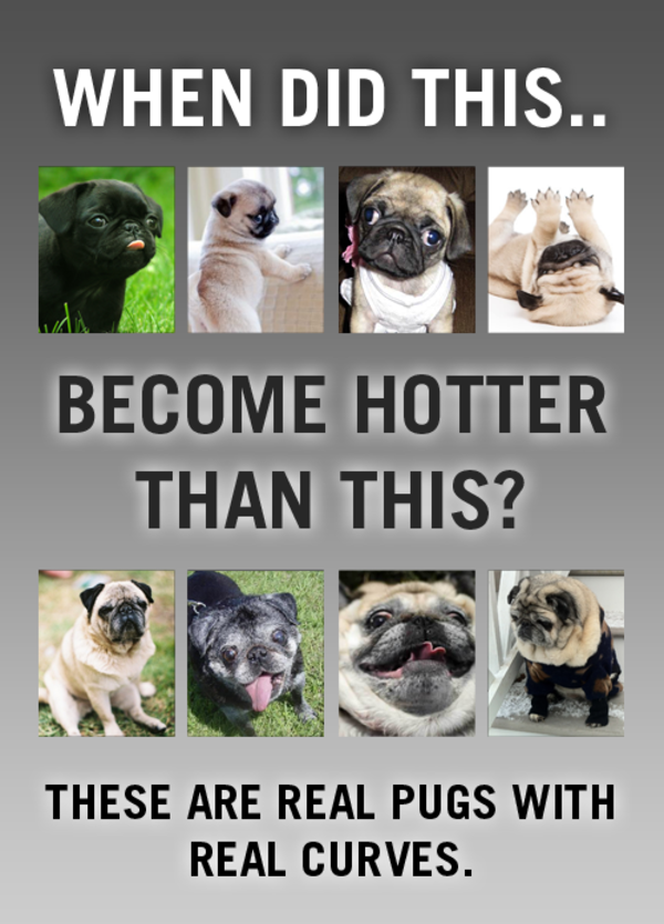 [Image 240436] When Did This Hotter Than This Know Your Meme