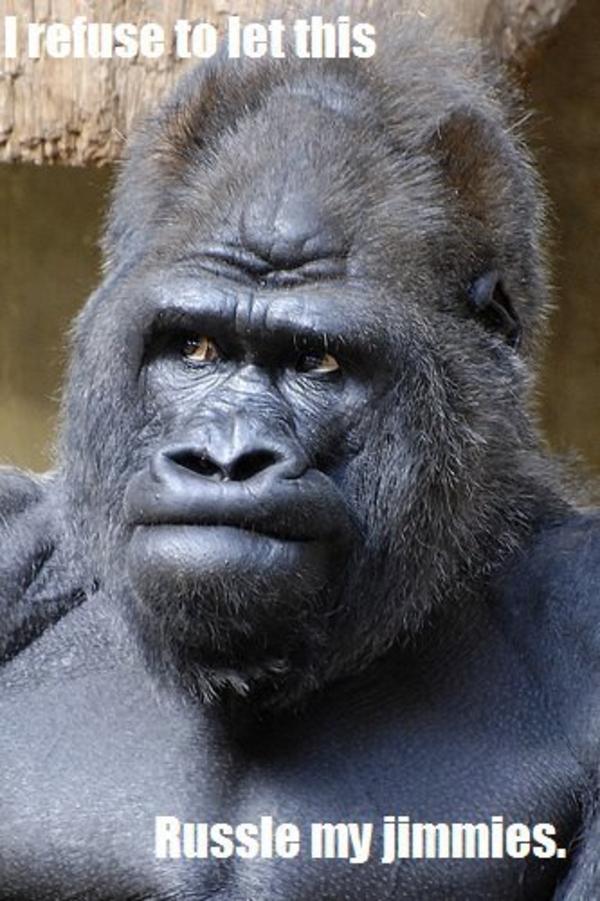 [Image - 260351] | That Really Rustled My Jimmies | Know Your Meme