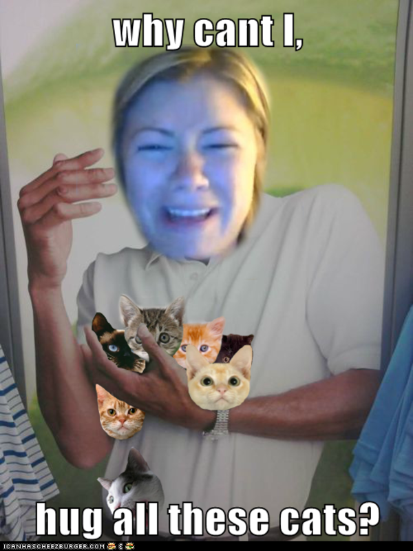 What can't I Hug all these cats? Limes Guy / Why Can't I Hold All
