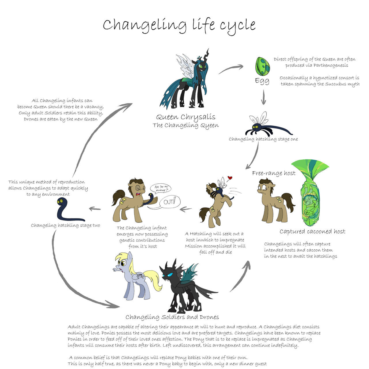 my little pony cycle