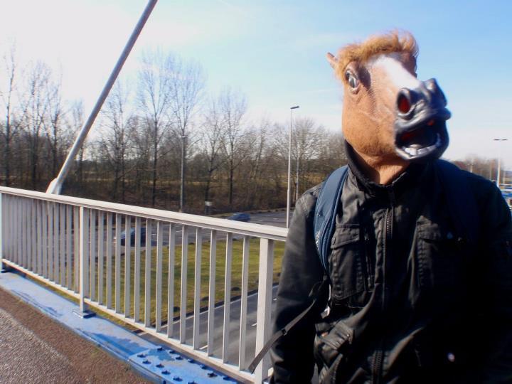 [Image 366836] Horse Head Mask Know Your Meme