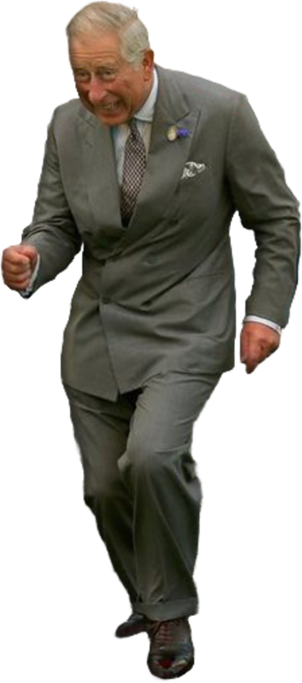 [Image 367194] Dancing Prince Charles Know Your Meme