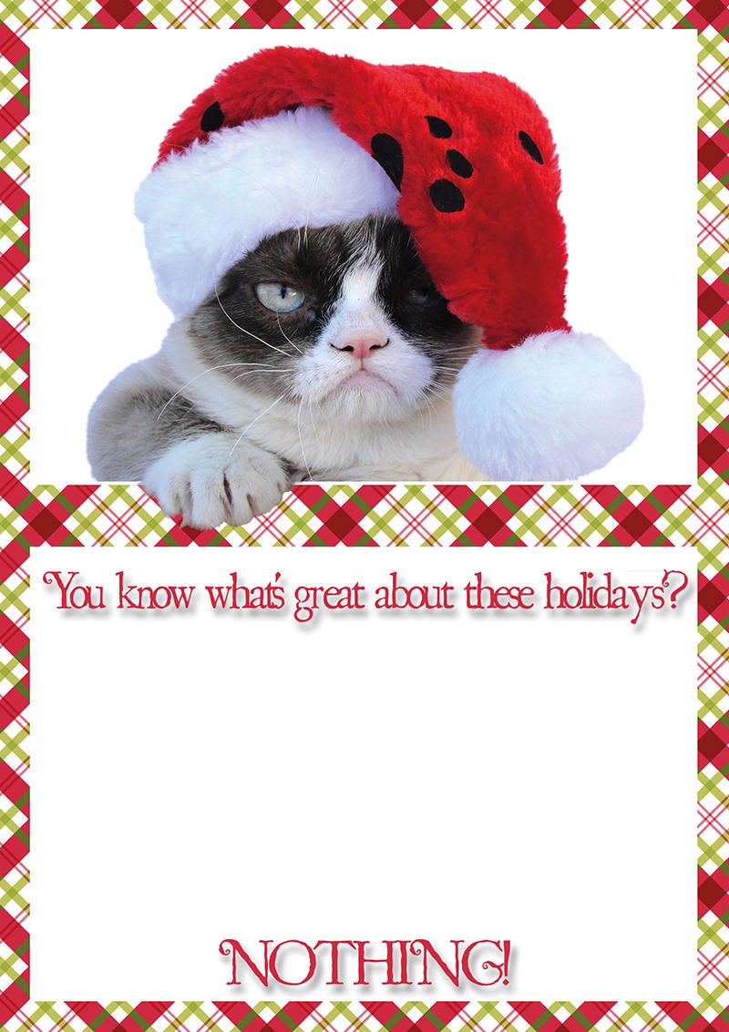 [Image - 444364] | Grumpy Cat | Know Your Meme