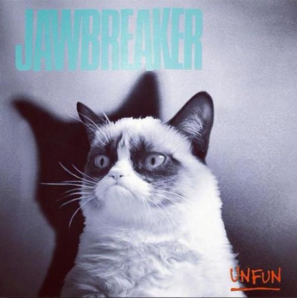 [Image - 446613] | Grumpy Cat | Know Your Meme