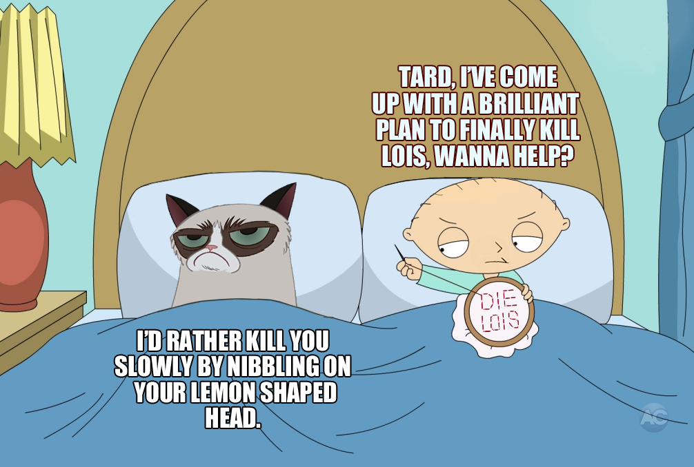Grumpy Cat and Stewie | Grumpy Cat | Know Your Meme