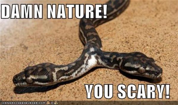 [Image - 456039] | Damn Nature, You Scary! | Know Your Meme