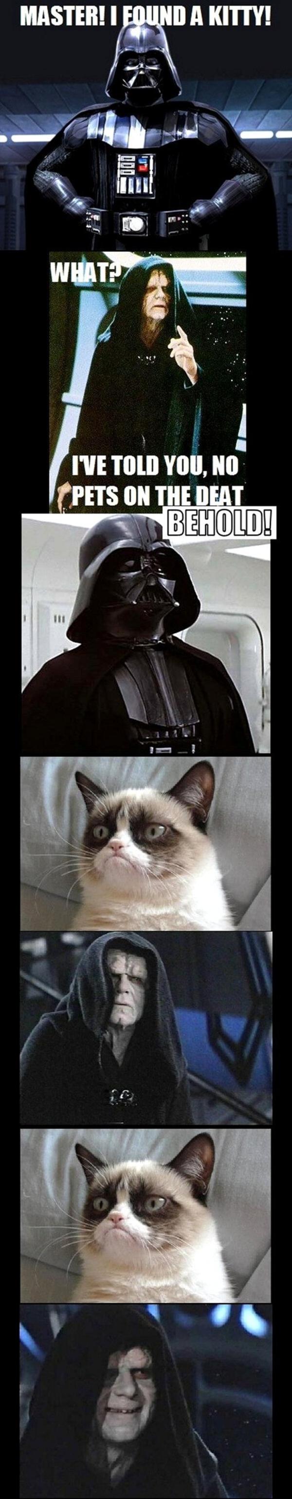 grumpy cat star wars quotes