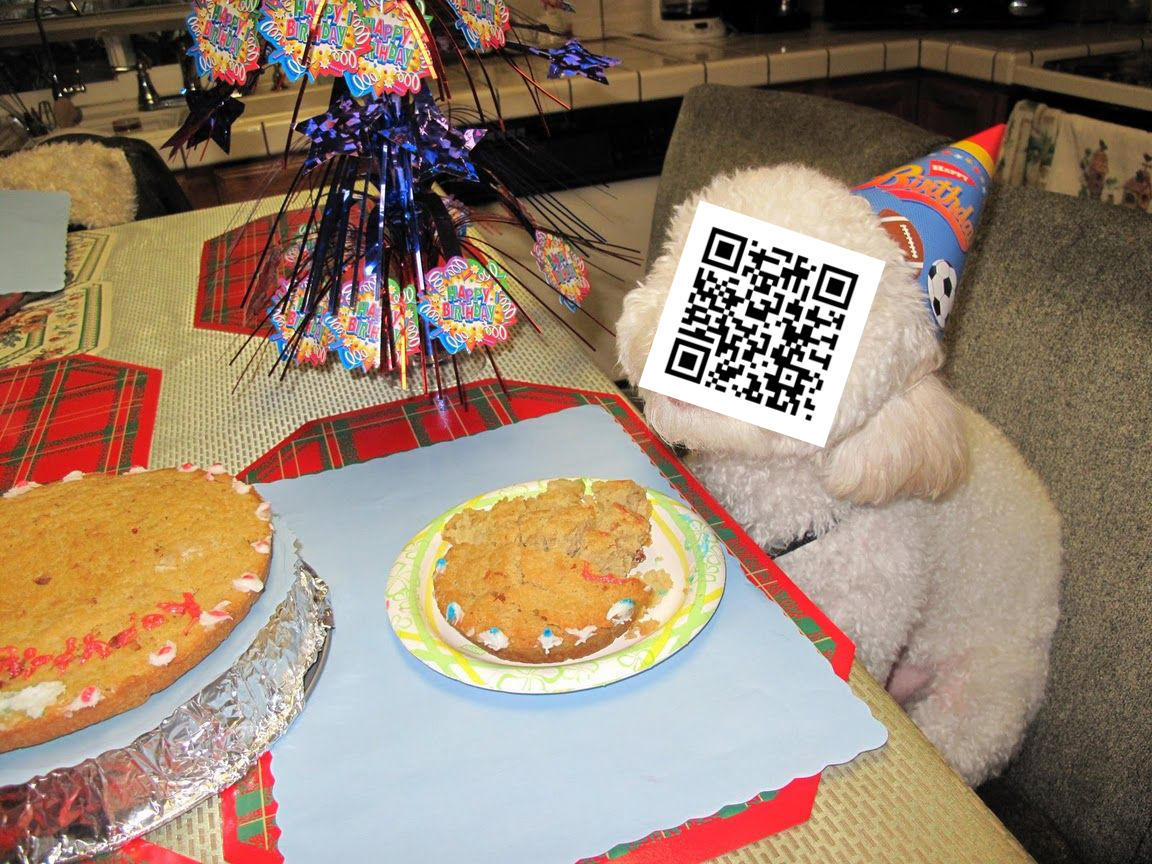 [Image 471595] Birthday Dog Know Your Meme
