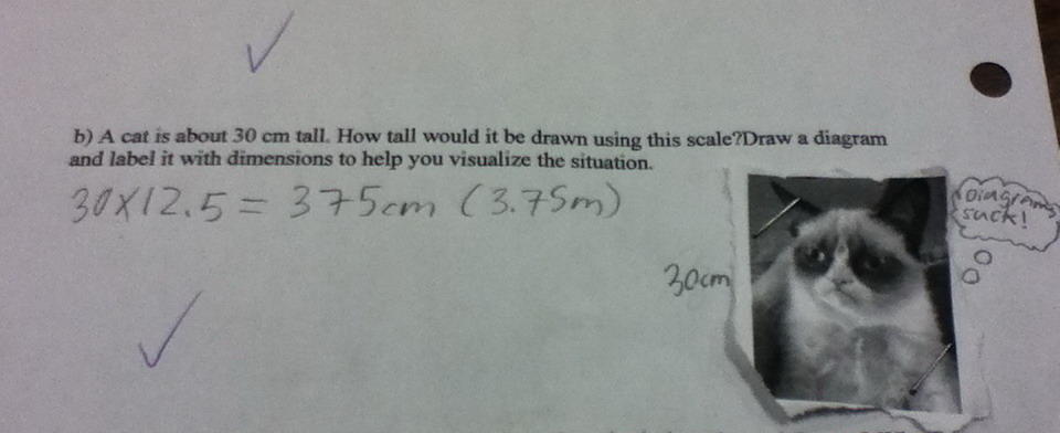 Grumpy Cat Is Always Right | Grumpy Cat | Know Your Meme