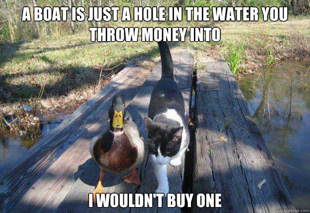 i should buy a boat cat