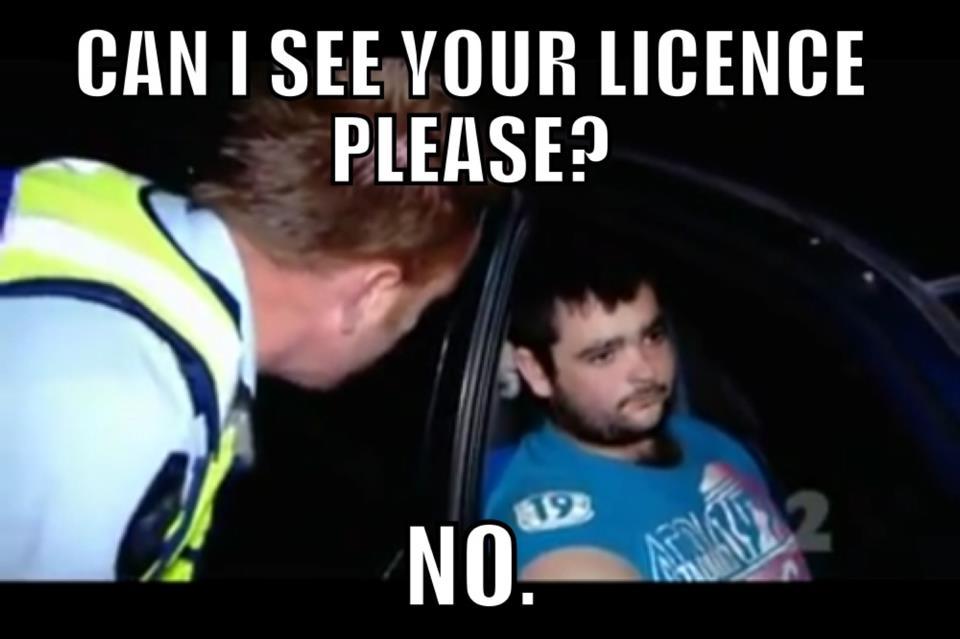 [Image 512073] Just Waiting For A Mate Know Your Meme