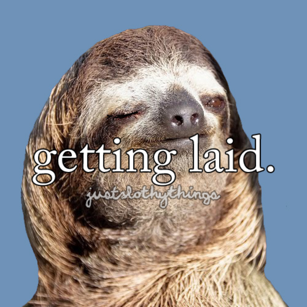 [Image 517370] Sloths Know Your Meme