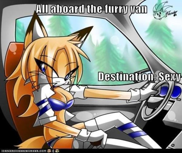 furry van