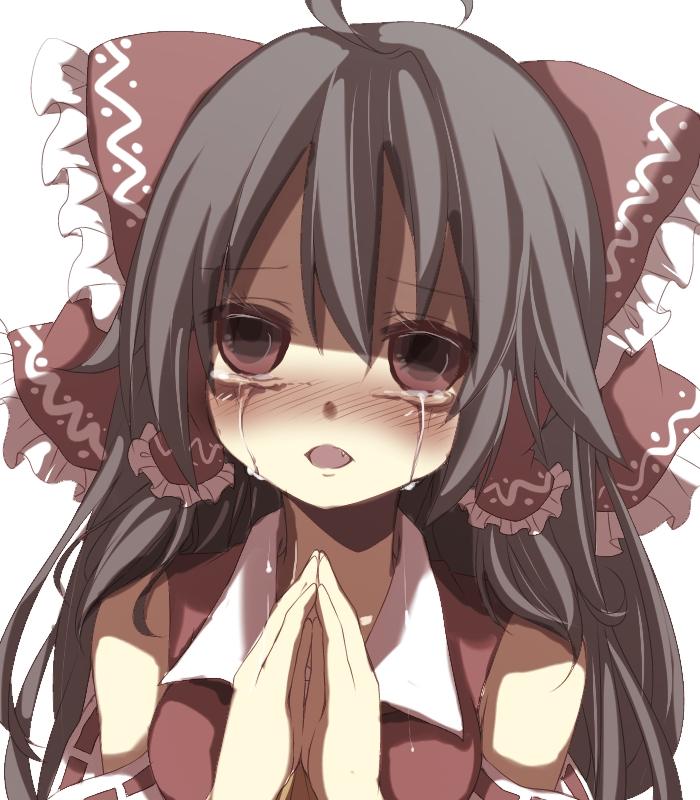 [Image - 542874] | Know Your Meme