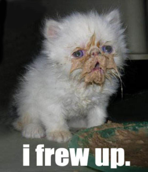 I frew up Reaction Images Know Your Meme