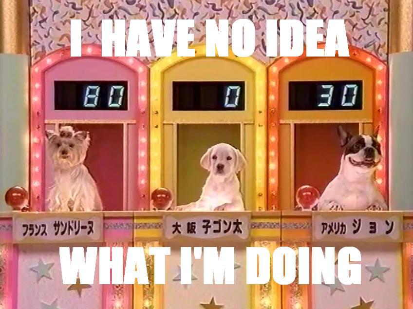 Dog Game Show? | I Have No Idea What I'm Doing | Know Your Meme