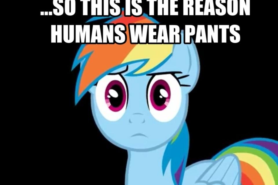 Image 549011 My Little Pony Friendship Is Magic Know Your Meme Image 549011 My Little Pony Friendship Is Magic Know Your Meme