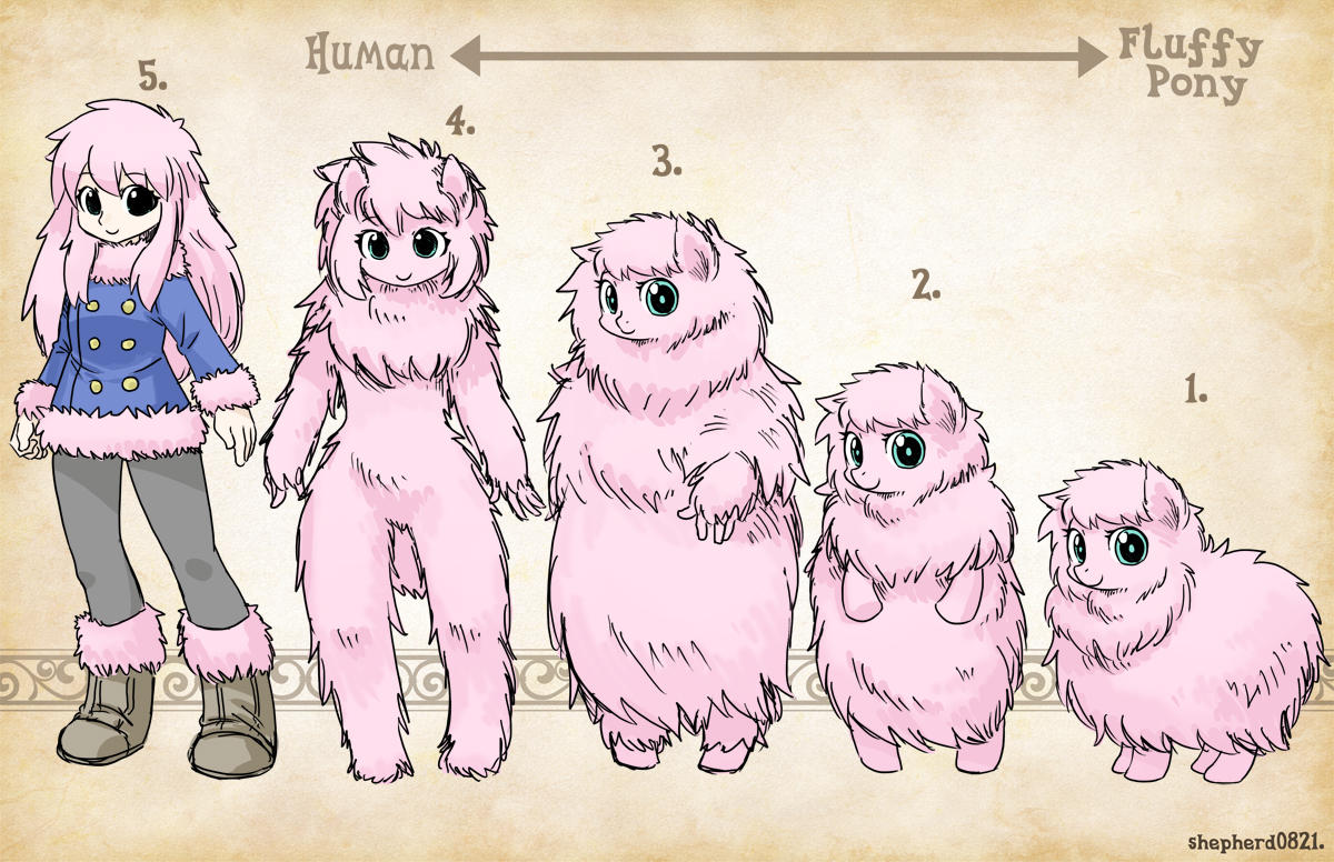 Types Fluffy Pony Furry Scale Know Your Meme