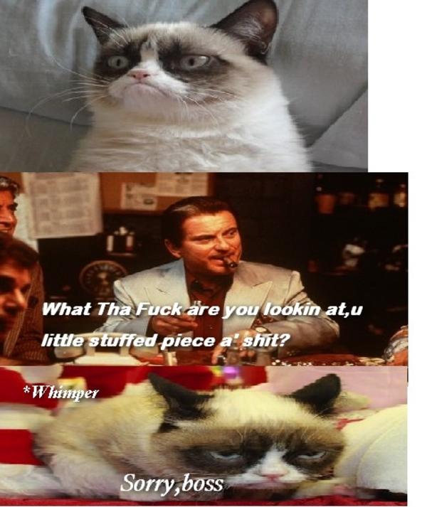 Nicky and the cat Nicky Santoro Know Your Meme