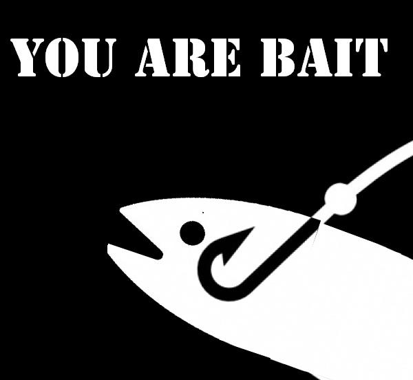 [Image 585204] Bait / This is Bait Know Your Meme