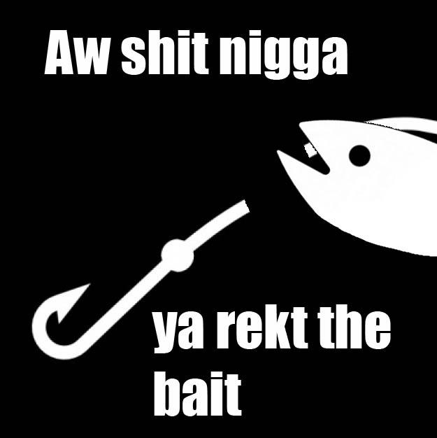 [Image 585562] Bait / This is Bait Know Your Meme