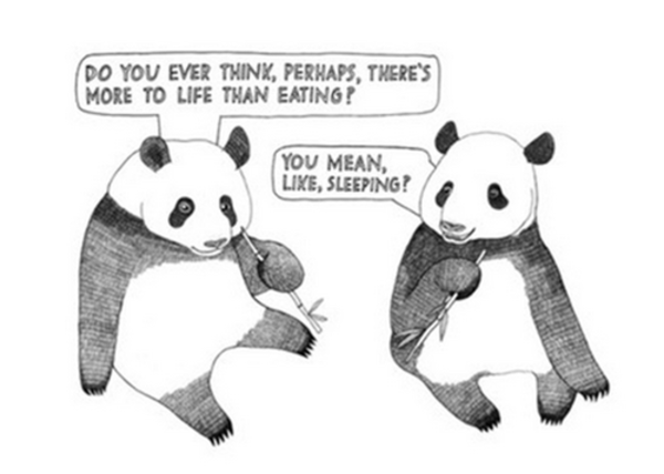[Image - 595739] | Pandas | Know Your Meme