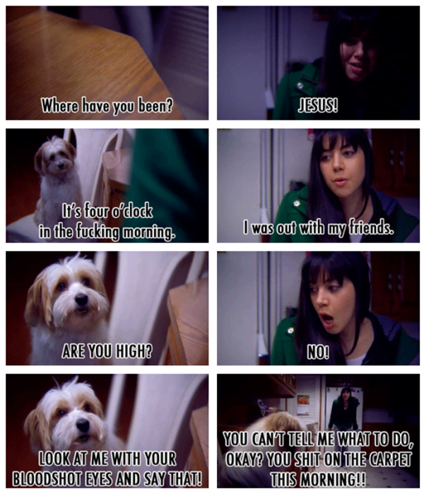 [Image - 606068] | Aubrey Plaza | Know Your Meme