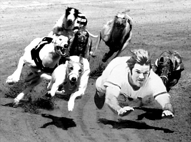 Dog Race | Dafuq | Know Your Meme