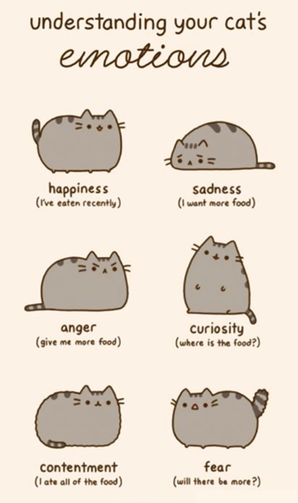 sad pusheen