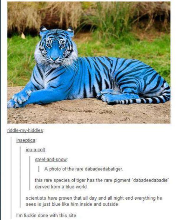 [Image - 640054] | Eiffel 65 - I'm Blue | Know Your Meme