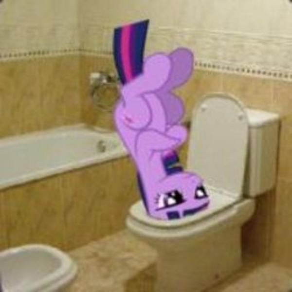 my little pony potty seat