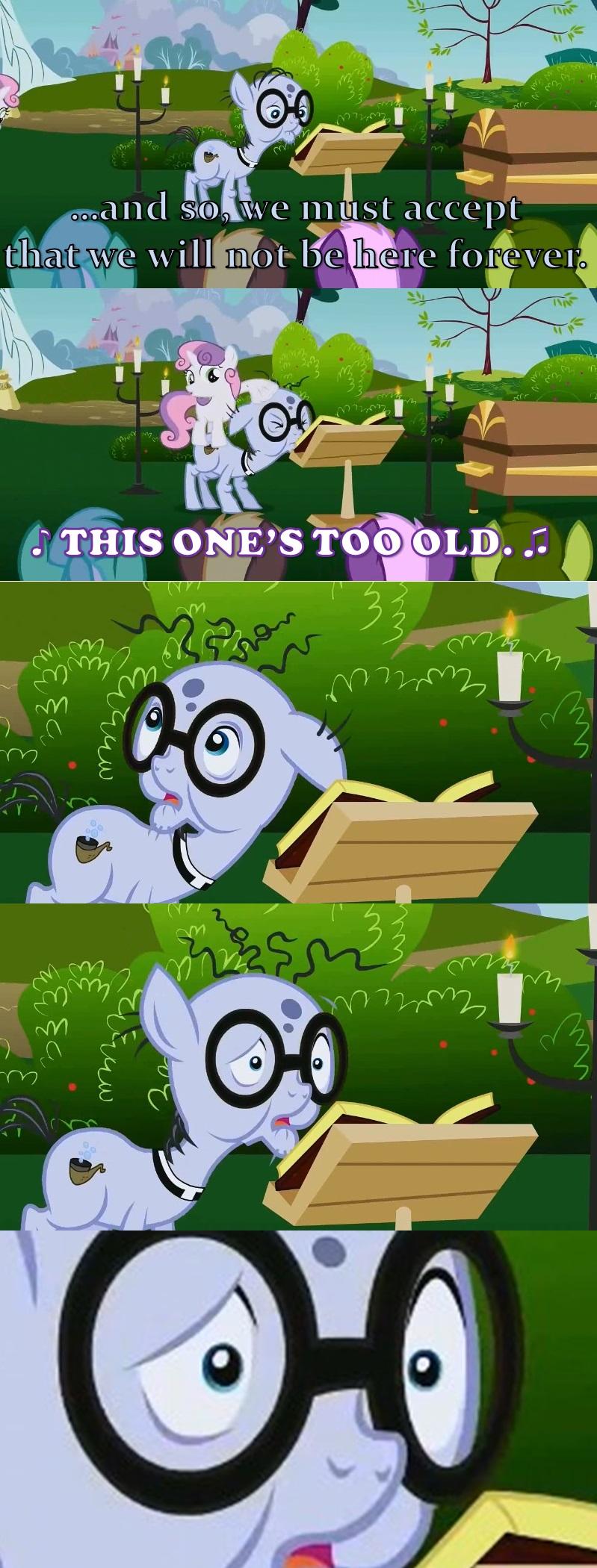 Funeral Crasher | My Little Pony: Friendship is Magic | Know Your Meme