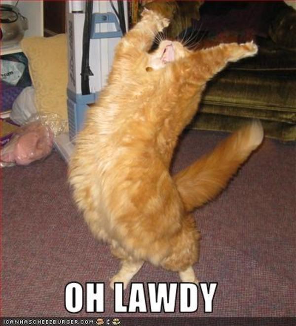 oh lawdy Reaction Images Know Your Meme