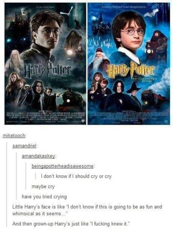 [Image - 678462] | Harry Potter | Know Your Meme