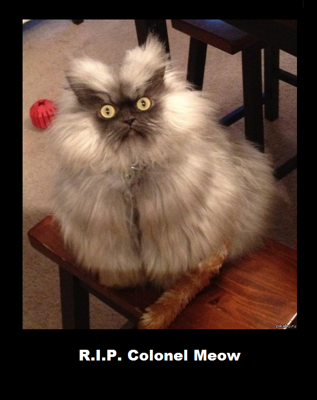 Requiescat In Pace Goodnight Sweet Prince Know Your Meme