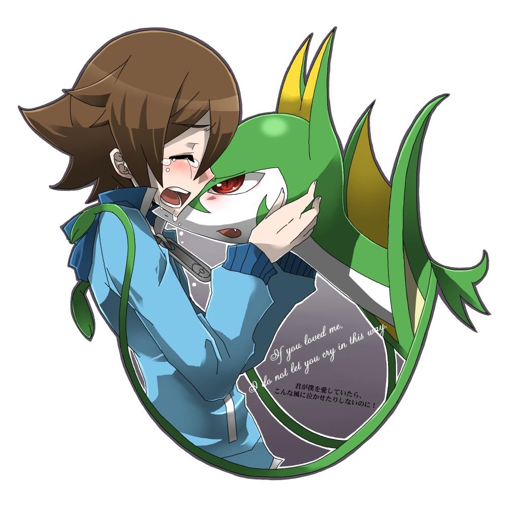 ポケ 人有 トウヤとジャローダ A 詰め Pokemon Know Your Meme