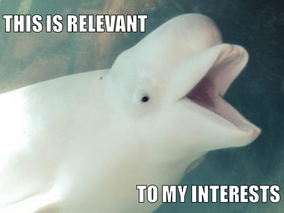 Baby Beluga This is Relevant To My Interests Know Your Meme