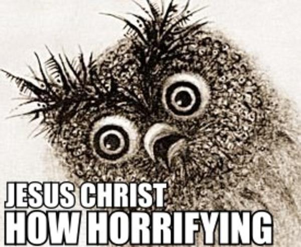 [Image - 702170] | Jesus Christ How Horrifying | Know Your Meme