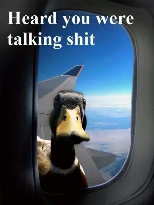 Plane | Heard You Were Talking Shit | Know Your Meme