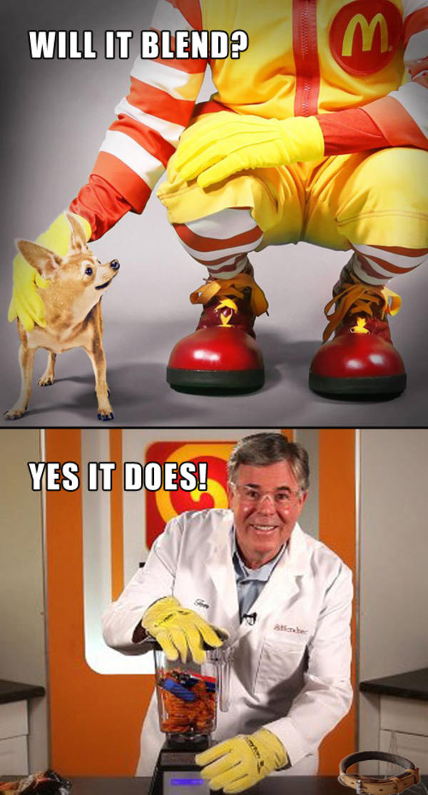 Will It Blend? Will It Blend? Know Your Meme