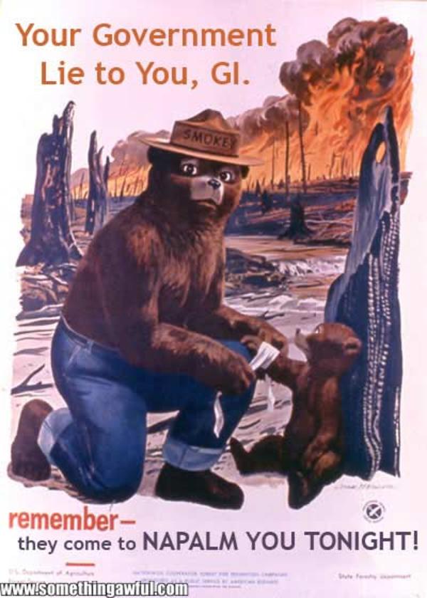 [Image - 764358] | Smokey The Bear | Know Your Meme