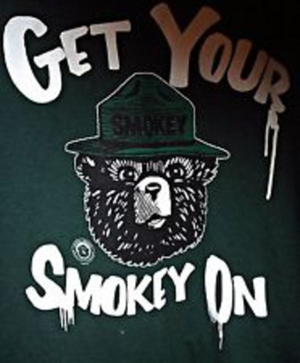 [Image - 764910] | Smokey The Bear | Know Your Meme